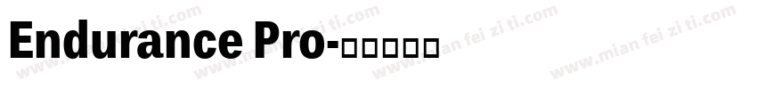 Endurance Pro字体转换